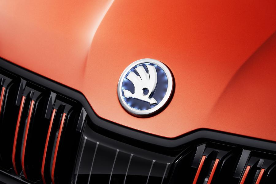Логотип Skoda Mountiaq Concept 2019 года  (фото 8 из 36)